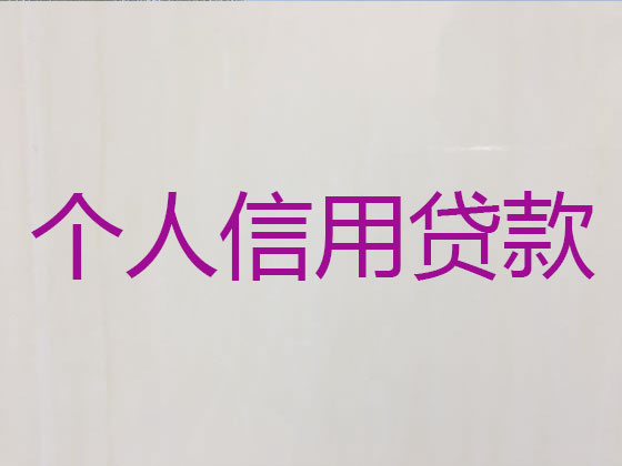 龙岩抵押担保贷款-信用贷款